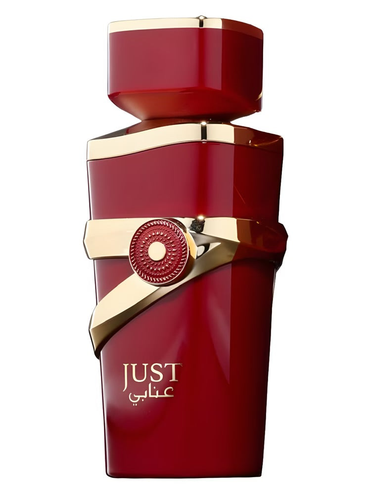 FRAGRANCE WORLD JUST ANABI Eau de Parfum 100 ml