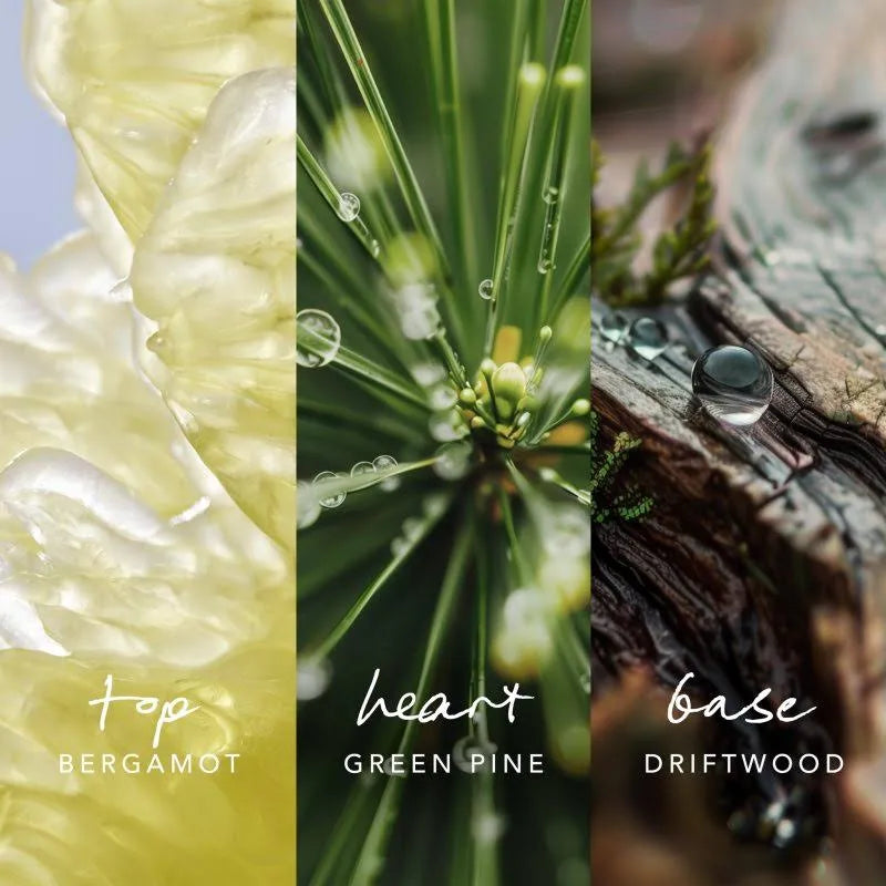 MEXX Inspired Nature Spray per Ambienti, 500 ml